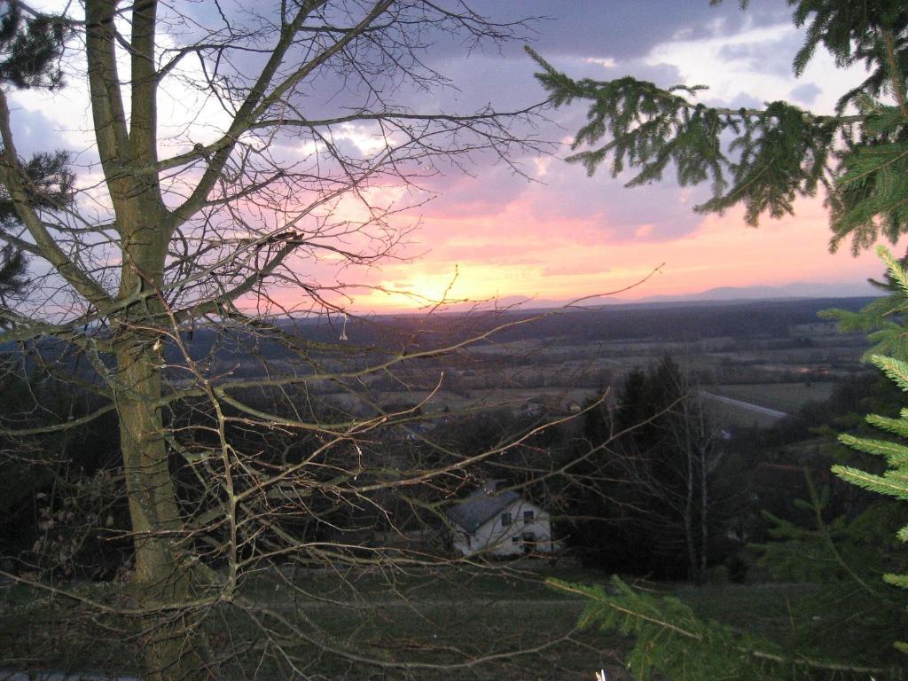 Gastehaus Zieserl Deutsch Kaltenbrunn Buitenkant foto